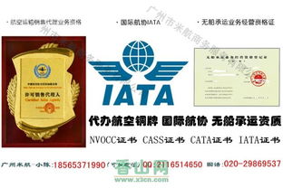 航空一级代理、CATA铜牌货代与CASS申请及民用航空票务代理指南